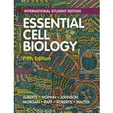 ESSENTIAL CELL BIOLOGY:- International Student Edition, ESSENTIAL CELL BIOLOGY, Alberts, Bruce(저),NORTON.., NORTON