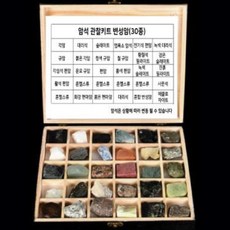 관찰표본