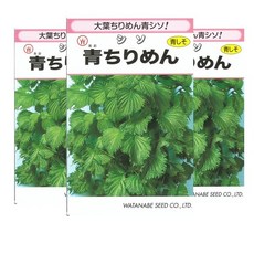 아이스블루네뷸라스노우썰매