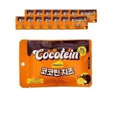 코코틴치즈