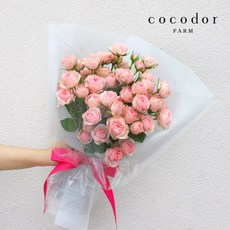 [코코도르팜]핑크 자나장미 50송이 꽃다발