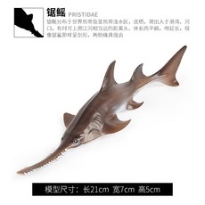 톱상어