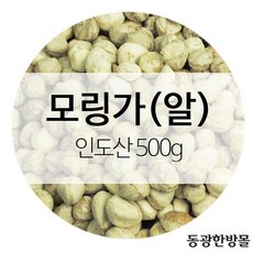 도매팡팡 모링가열매 알 인도산 500g자연식 씨앗, 1