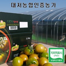 부산 대저 프리미엄 짭짤이 토마토 리뷰후기