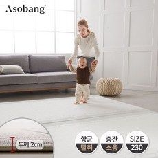 아소방230