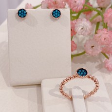 골든듀귀걸이반지세트