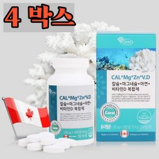 아디파디스커버리