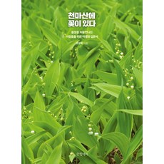 천마산에 꽃이 있다:들꽃을 처음 만나는 이들을 위한 다정한 입문서, 글항아리