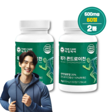 메가 콘드로이친 황산 상어연골 분말