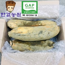 한결농원 gap인증 당일수확 연근(햇) 1kg 2kg 3kg 5kg 10kg 15kg 직접재배 산지직송