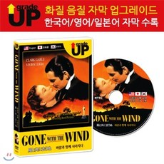바람과함께사라지다