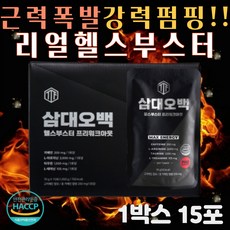 엘피스부스터