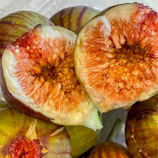 [산지직송] 제철 생무화과 500g 1kg, 1세트, 1팩 500g(6~10개)