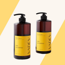 바디브 약산성 샴푸 1000ml 2개 천연 세정성분 향좋은 대용량 샴푸, 트리트먼트, 엘딘디파르바, 1L