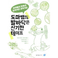 도마뱀의발바닥은신기한테이프