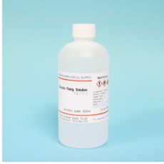 오피스안 고정액 500ml SN