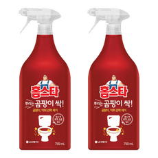 홈스타 뿌리는 곰팡이 싹 750ml, 2개