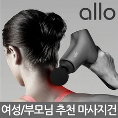알로마사지건