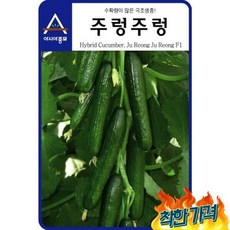 아시아종묘 종자 주렁주렁 (10립) 암꽃발생이 높은 다수확