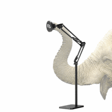 코끼리리빙거치대중