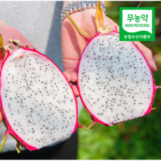 산지직송 국내산 무농약 프리미엄 제주 용과 드래곤후르츠 3kg 당일수확, 1, 특상품 중과 3kg (10-11과)