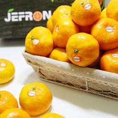 타이백귤