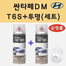 순정품 현대 싼타페DM T6S 티타늄실버 스프레이 페인트 + 투명스프레이 - t6s