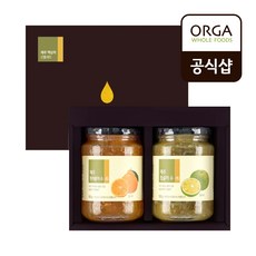 ORGA 올가 제주 액상차 선물세트 (550gX2입), 2입, 550g