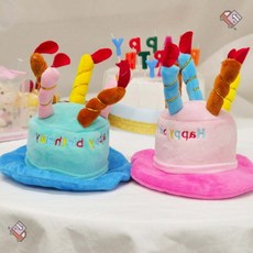 펫레스트생일파티키트