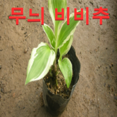 5bf4bf1c6d31c49f03b663a233f4a63e78cf8f2b401dfa55e7eb796b1d84.png