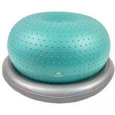  강아지튼튼짐볼 강아지밸런스볼 슬개골운동 재활 균형, 블루 