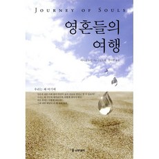 영혼들의 여행, 나무생각, 마이클 뉴턴 저/김도희,김지원 공역