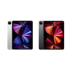 아이패드프로3세대11인치