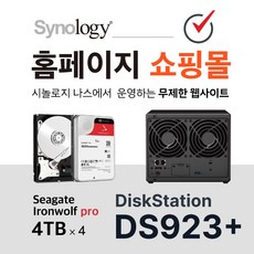 시놀로지 DS923+ / 아이언울프 프로 4TB / 홈페이지제작, 홈페이지