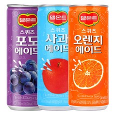 롯데 델몬트 스퀴즈 사과 오렌지 포도 240ml 3종 30캔, 1세트, 단일옵션