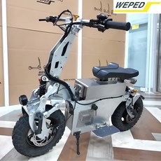 위페드 미니고 프로 전동킥보드 WEPED miniGO PRO 대리운전 전동스쿠터, 미니고 프로 맥스, 15A 충전기