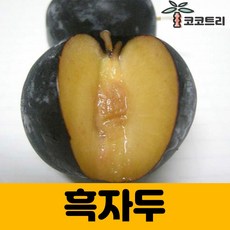 3d4401806a33c88fee8a3276e70b46967084fce8af0dc9d768cff82f52fb.jpg