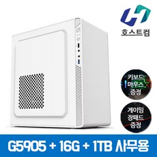 호스트컴 조립컴퓨터 게이밍 PC 데스크탑 본체, 사무용PC01) G5905, Free DOS, 1TB, 16GB, 화이트