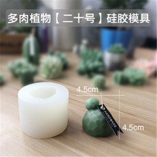 다육공예패키지