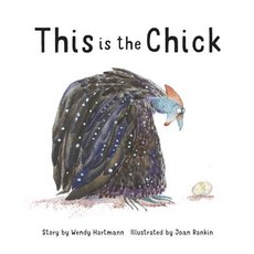 This Is the Chick Hardcover, Crocodile Books, English, 9781566560399