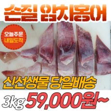 홍어한마리