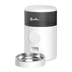 디클펫트리와이파이