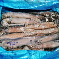푸드마을 냉동오징어 2.7~3kg 내외 8kg 내외 중국산 연근해산, 냉동오징어(M) 8kg 내외, 1개
