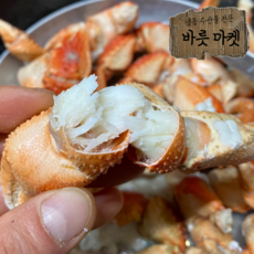 국내산 선동 소라게발 1 kg (25미~35미) 대게맛 담백하고 쫄깃한맛, 1개