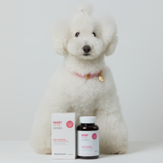 하트펫트릿 160g 강아지 심장 영양제, 1통(160g)