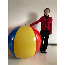 대형비치볼