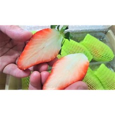 943fc6a281c12124cc6f1df402769ce44e73591b33601a4f6de968f648a3.jpg
