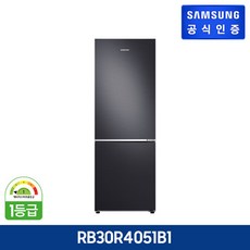 삼성전자 2도어 냉장고, RB30R4051B1