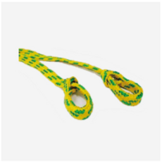 나최대집이다책