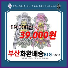 빅플라워 부산(기장군포함 )화환 근조화환 축하화환 3시간이내 당일배송 꽃배달 축하 근조 장례 부고 결혼 개업 오브제 꽃바구니 쌀화환 사진전송, 기장군, 축하, 최고급형